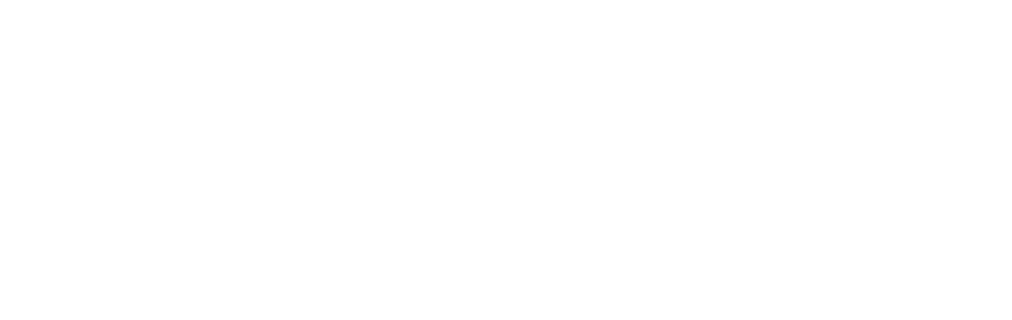 Vibrant Body Company